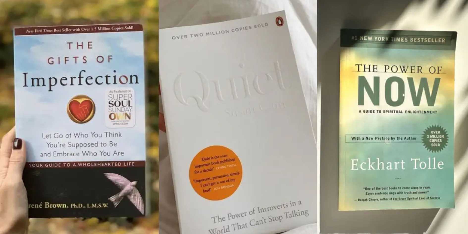 Understanding the Introvert Growth Path