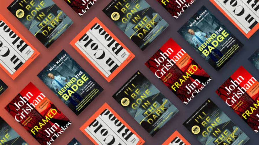 What makes a true crime book good for a beginner